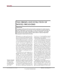 The Origin and Evolution of Model Organisms