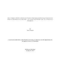 ZAMPINI-DISSERTATION-2013.Pdf