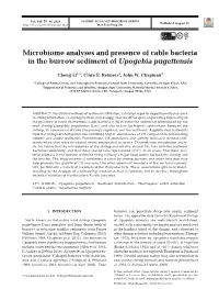 Full Text in Pdf Format