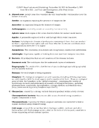 Algae Glossary