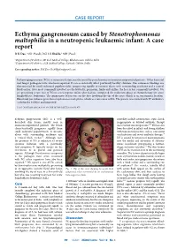 Ecthyma Gangrenosum Caused by Stenotrophomonas Maltophilia in a Neutropenic Leukaemic Infant: a Case Report D K Das,1 MD (Paed), DCH; S Shukla,2 MD (Paed)