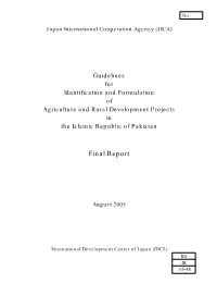 Final Report