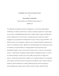 PATTERNS of LANGUAGE USE in MANIA by BESS SIRMON