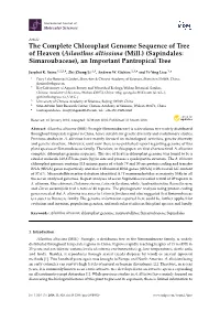The Complete Chloroplast Genome Sequence of Tree of Heaven (Ailanthus Altissima (Mill.) (Sapindales: Simaroubaceae), an Important Pantropical Tree