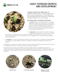 Early Soybean Growth and Development