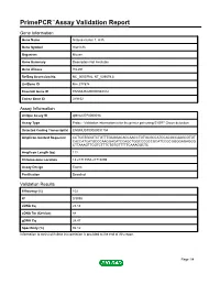Primepcr™Assay Validation Report