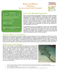 Rays and Skates (Batoidea) Conservation Profile Synopsis