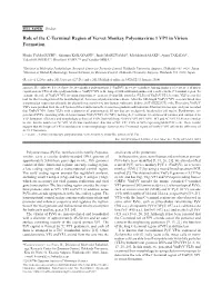Role of the C-Terminal Region of Vervet Monkey Polyomavirus 1 VP1 in Virion Formation