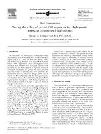 Testing the Utility of Partial COI Sequences for Phylogenetic Estimates of Gastropod Relationships