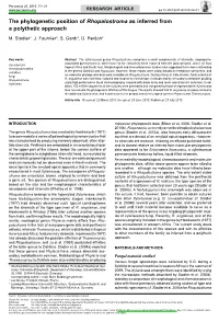 The Phylogenetic Position of Rhopalostroma As Inferred from a Polythetic Approach