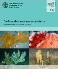 Vulnerable Marine Ecosystems – Processes and Practices in the High Seas Vulnerable Marine Ecosystems Processes and Practices in the High Seas