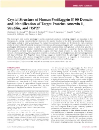 Crystal Structure of Human Profilaggrin S100 Domain And