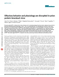 Olfactory Behavior and Physiology Are Disrupted in Prion Protein Knockout Mice