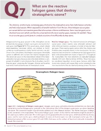 What Are the Reactive Halogen Gases That Destroy Stratospheric Ozone?