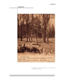 1.0 INTRODUCTION 1.0 INTRODUCTION Ssp Specimens in the Adelaide Park Lands, Most Likely in Eucalyptus the Southern Park Land Blocks