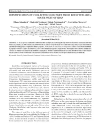 Identification of Collected Sand Flies from Rofayyeh Area, South West of Iran