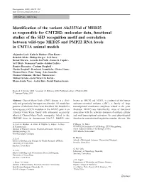 Molecular Data, Functional Studies of the SH3 Recognition Motif and Correlation Between Wild-Type MED25 and PMP22 RNA Levels in CMT1A Animal Models