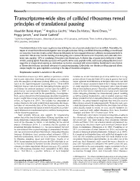 Transcriptome-Wide Sites of Collided Ribosomes Reveal Principles of Translational Pausing