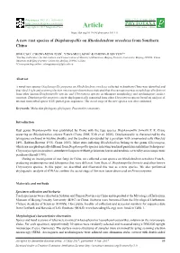 A New Rust Species of Diaphanopellis on Rhododendron Oreodoxa from Southern China