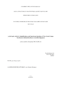 Ccdc80 and Ccdc80-L1: Identification and Functional Analysis of Two Novel Genes Involved in Zebrafish (Danio Rerio) Development