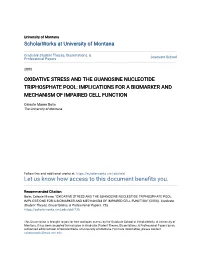 Oxidative Stress and the Guanosine Nucleotide Triphosphate Pool: Implications for a Biomarker and Mechanism of Impaired Cell Function