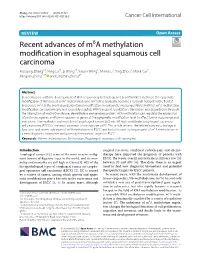 Recent Advances of M6a Methylation Modification in Esophageal Squamous Cell Carcinoma