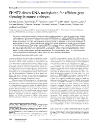 EHMT2 Directs DNA Methylation for Efficient Gene Silencing in Mouse Embryos