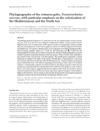 Phylogeography of the Common Goby, Pomatoschistus Microps, With