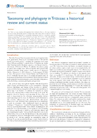 Taxonomy and Phylogeny in Triticeae: a Historical Review and Current Status
