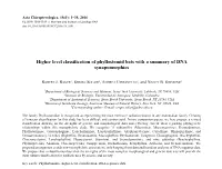 Higher Level Classification of Phyllostomid Bats with a Summary of DNA Synapomorphies