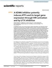 A KDM6 Inhibitor Potently Induces ATF4 and Its Target Gene Expression Through HRI Activation and by UTX Inhibition
