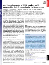 Antidepression Action of BDNF Requires and Is Mimicked by Gαi1/3