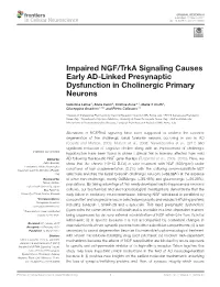 Impaired NGF/Trka Signaling Causes Early AD-Linked Presynaptic Dysfunction in Cholinergic Primary Neurons