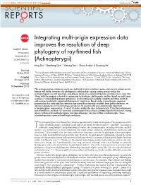 Integrating Multi-Origin Expression Data Improves The
