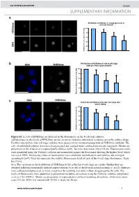 Histone Arginine Methylation Regulates Pluripotency in the Early