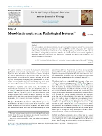 Mesoblastic Nephroma: Pathological Features