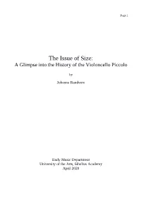The Issue of Size: a Glimpse Into the History of the Violoncello Piccolo