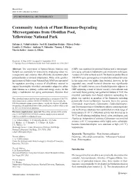Community Analysis of Plant Biomass-Degrading Microorganisms from Obsidian Pool, Yellowstone National Park