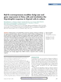 Rab1b Overexpression Modifies Golgi Size and Gene Expression in Hela Cells and Modulates the Thyrotrophin Response in Thyroid Cells in Culture