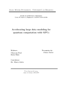 Accelerating Large Data Modeling for Quantum Computation with Gpus