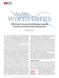 As the Worm Turns with the Help of a Tiny Worm, Cornelia Bargmann Is Unpicking the Neural Circuits That Drive Eating, Socializing and Sex
