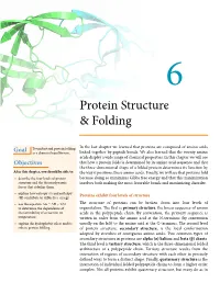 Protein Structure & Folding