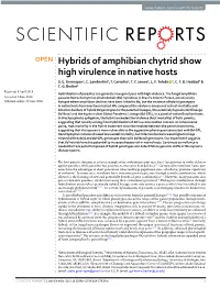 Hybrids of Amphibian Chytrid Show High Virulence in Native Hosts S