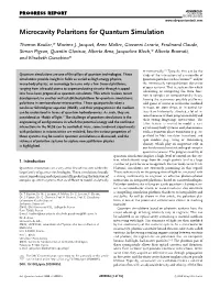 Microcavity Polaritons for Quantum Simulation