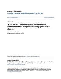 Winter Flounder Pseudopleuronectes Americanus Stock Enhancement in New Hampshire: Developing Optimal Release Strategies