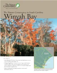 Winyah Bay Fact Sheet