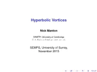 Hyperbolic Vortices