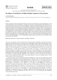 The High-Level Classification of Skinks (Reptilia, Squamata, Scincomorpha)
