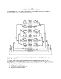 Tree Thinking Quiz II D. A. Baum, S. D. Smith, and S. D. Donovan Each