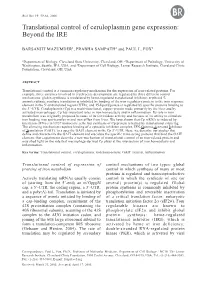 Translational Control of Ceruloplasmin Gene Expression: Beyond the IRE